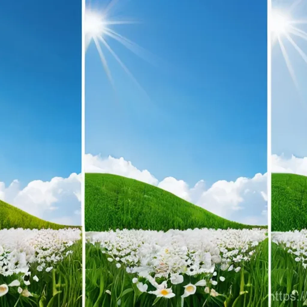 넷플릭스 해외 결제 방법 - Here are three detailed image prompts in English, designed to meet your specified guidelines: